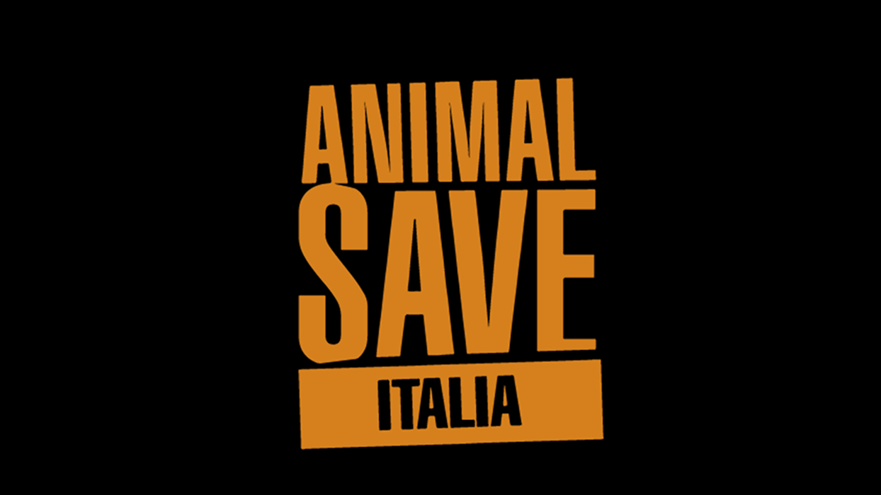 Photo of Animal Save Italia e la sua lotta per un mondo migliore e antispecista – prima parte