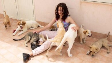 Photo of Giulia Capraro, giovane vita al servizio degli animali