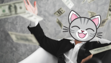 Photo of Un gattino da 172.000 dollari?