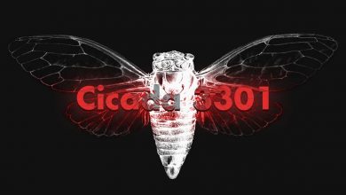 Photo of Cicada 3301, il fantasma di Internet