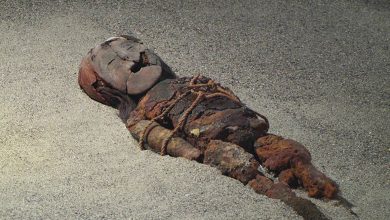 Photo of Mummie? No, le prime non furono egiziane