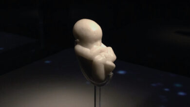 Photo of The first baby, il primo bambino nello spazio