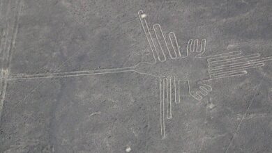 Photo of I geoglifi di Nazca